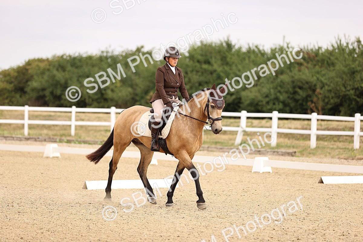 SBM_006432 - Intro 3 - 9.46-10.46