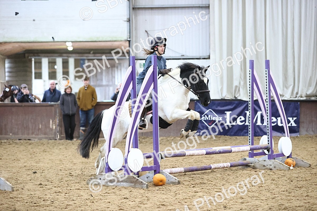 SBM_001322 - Class 3 - Horse & Hound 60cm