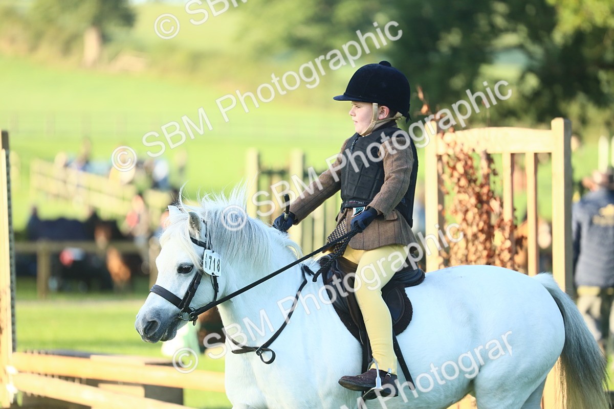 SBM_31803 - S28 - Nursery Stakes Working Hunter Pony