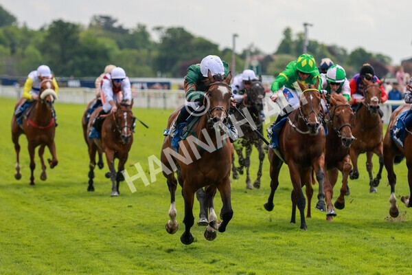 yr21052022r2-33 - Race 2: 2:20pm William Hill Bet Boost Stakes