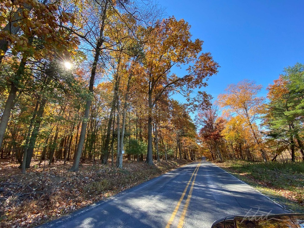 IMG_1302 - Roads