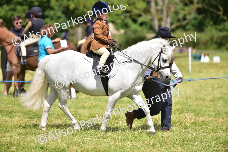 20260614-1190 - Class 11a - Lead Rein Pony (Unplaited)