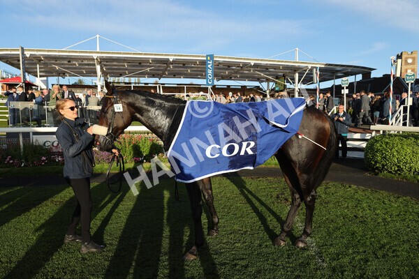 yr08102022r7-62 - Race 7 5.00pm The Coral Gets You Closer To The Action Stakes