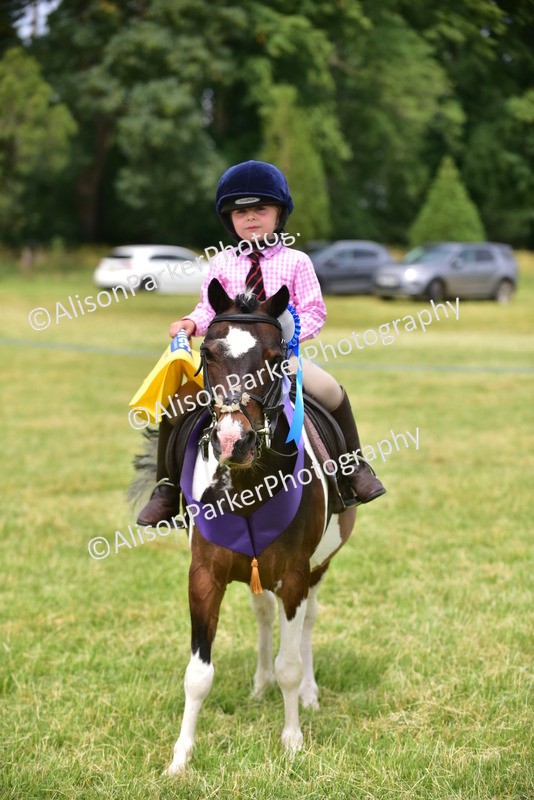20260614-4027 - Class 16 - Handsome Gelding