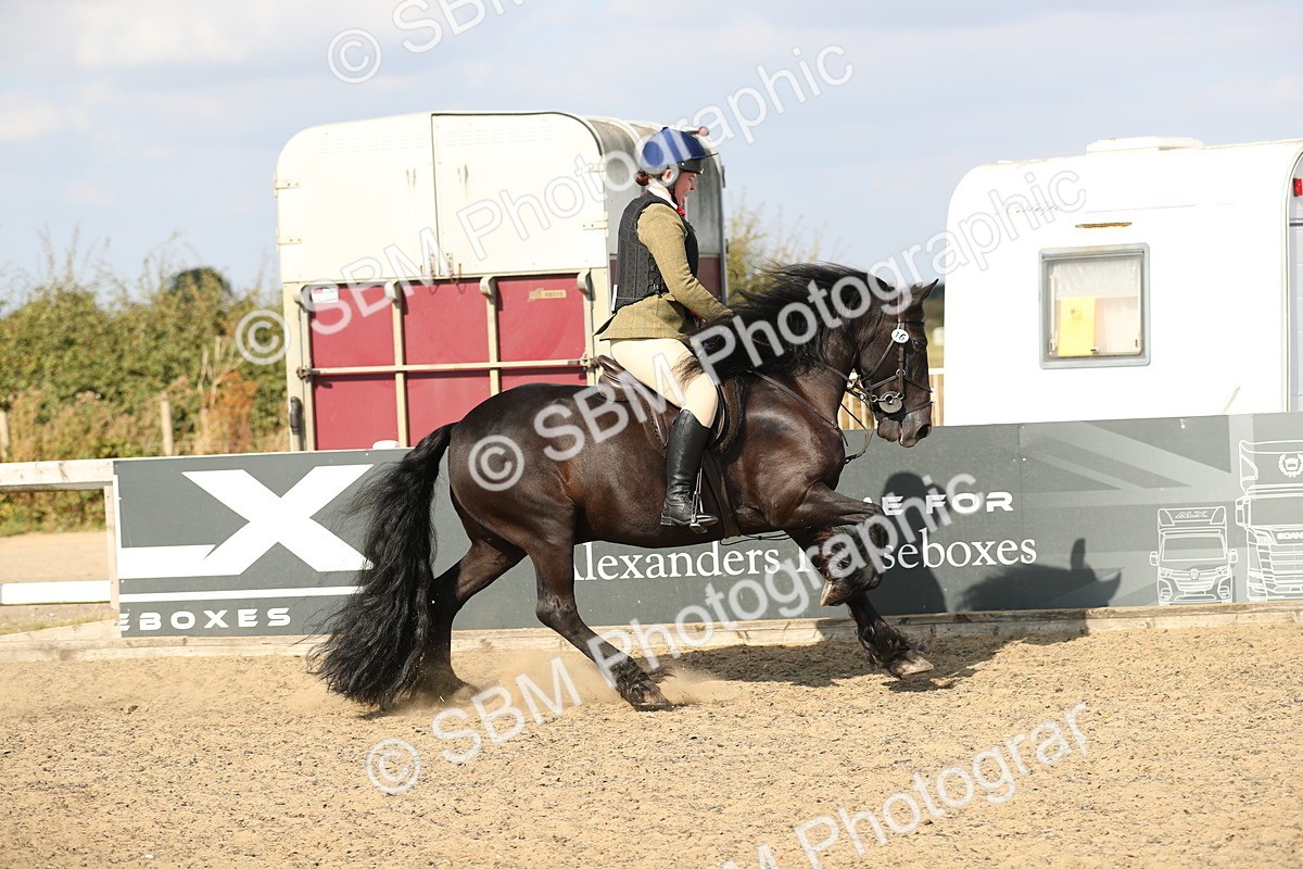 SBM_06939 - Class 49a Style & Performance 80cm (15-19)