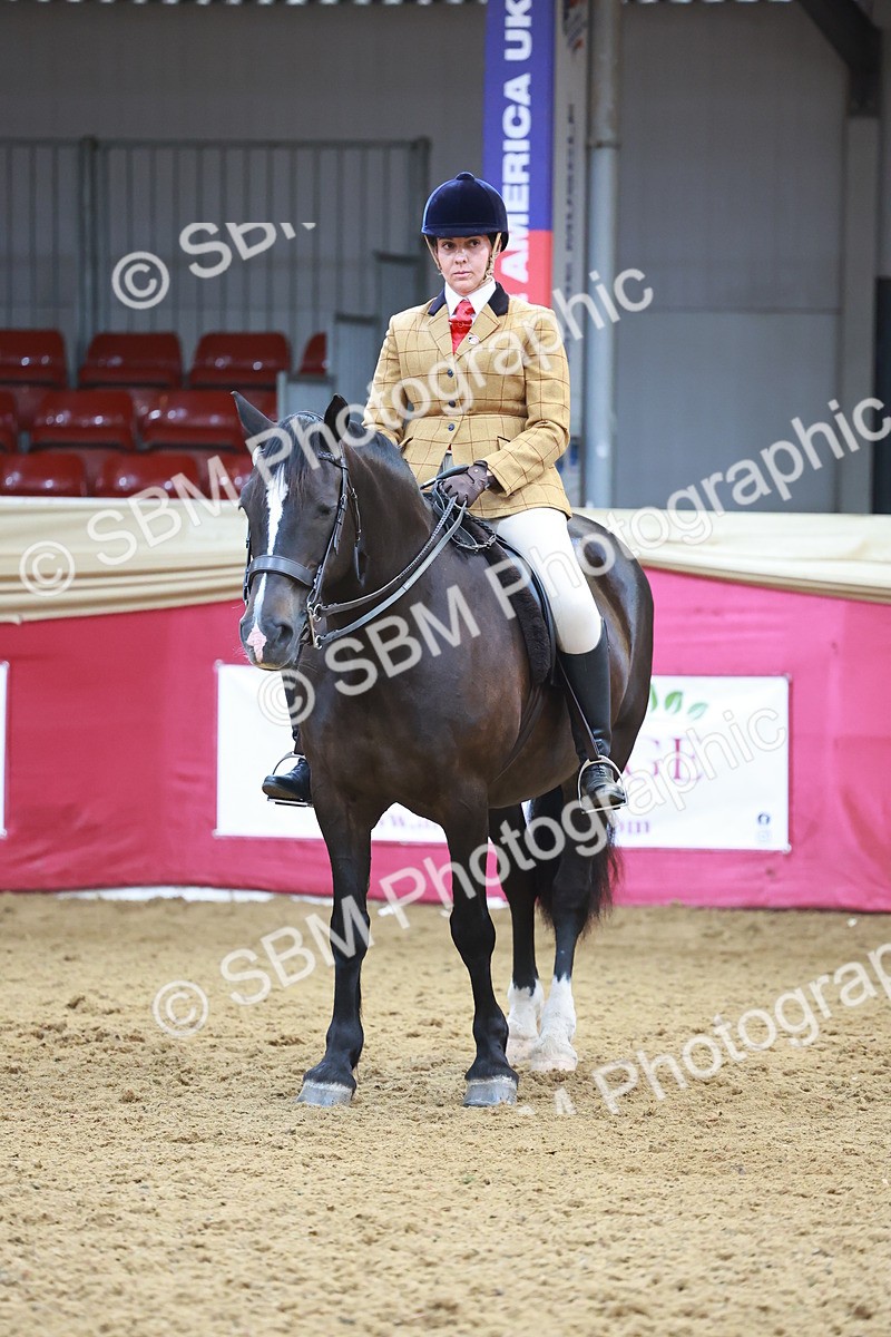SBM_12661 - Class 103 - HOYS Veteran Qualifier - Ridden Pre Vet
