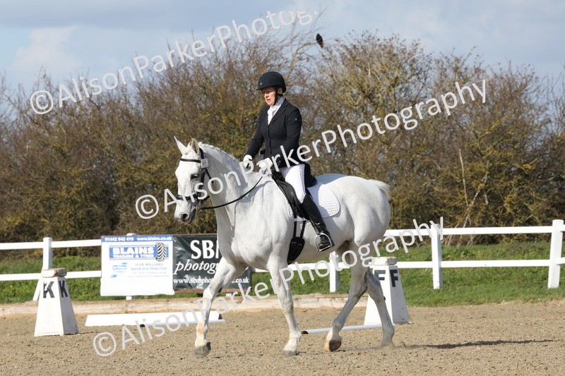 20260314-4897 - CT6 - Elementary 1