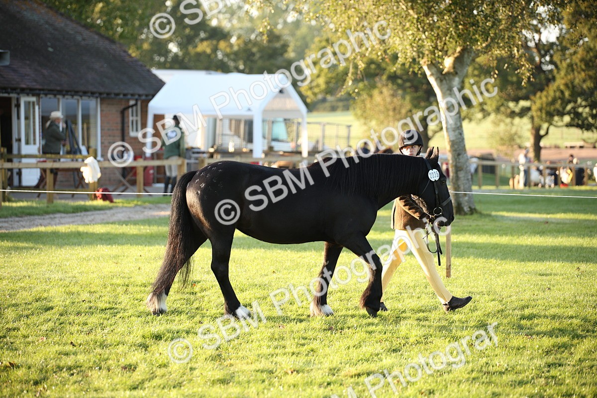 SBM_32264 - S8 - Best Turned Out