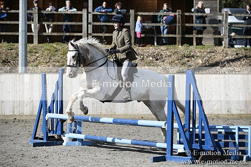 BVRC SJ 170319 227 - Bourne Valley Riding Club Showjumping 17/03/19