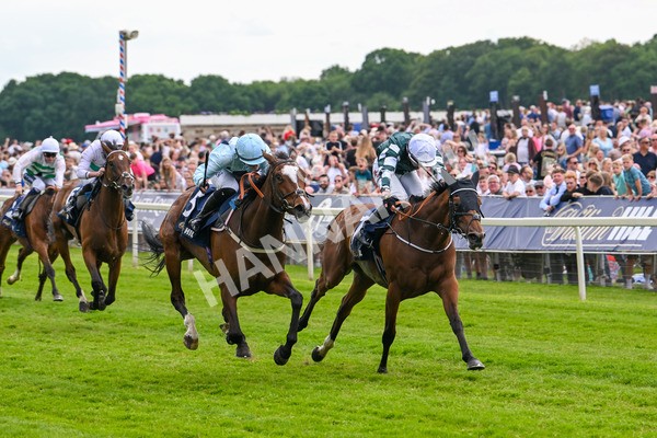 310525-Race 4-Scenic-9623 - Race 4 3.15pm William Hill Bronte Cup Fillies' Stakes