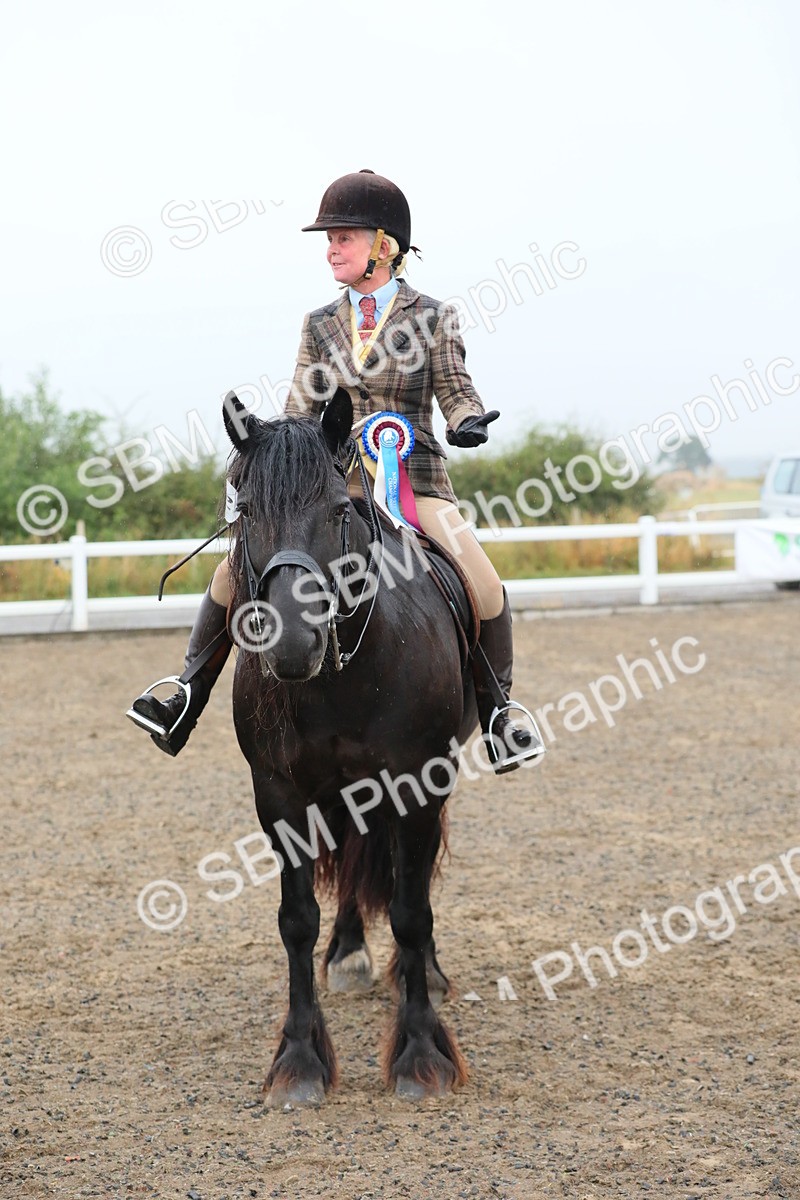 SBM_20377 - Class 803 - Ridden Combination 65+