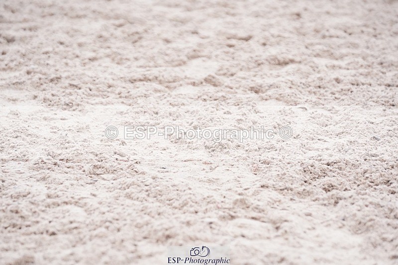 250223-103210-03329 - Cls 19 BlueChip JJ Winter Discovery Champ Q