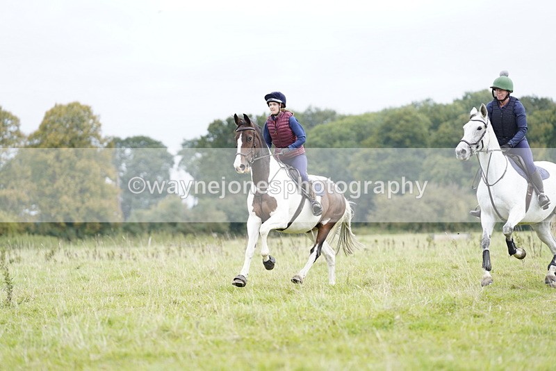 _DSC7157 - Time at Photographer 10:43 to 11:19