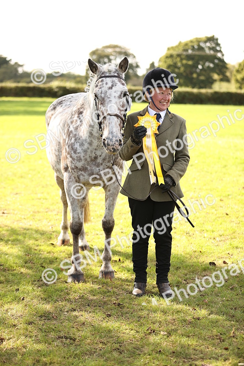SBM_26288 - S5 - Novice & Newcomers In Hand