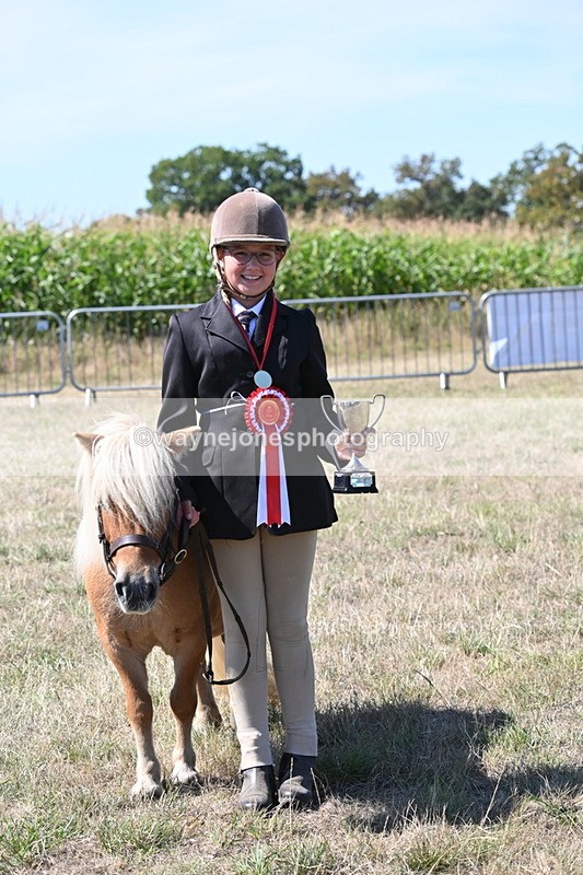 WJ6_8754 - Class 37b Best Loan Pony In-hand