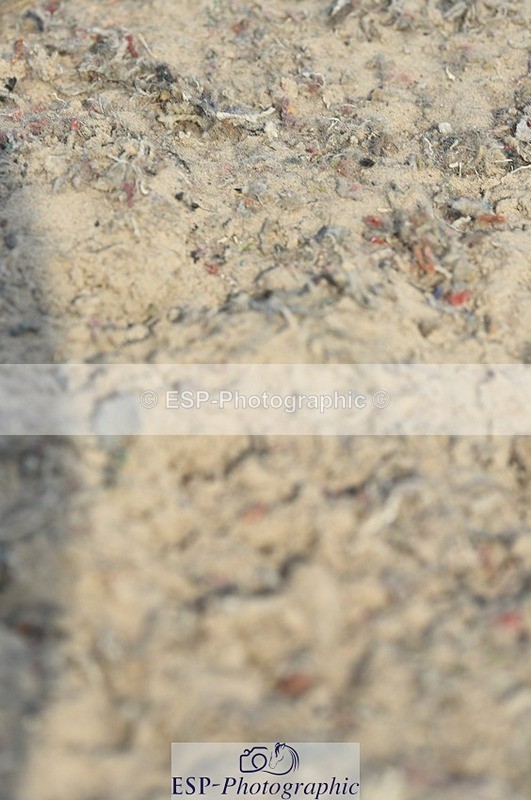 230817-094548-01674 - Kay's 1st Group - Arena