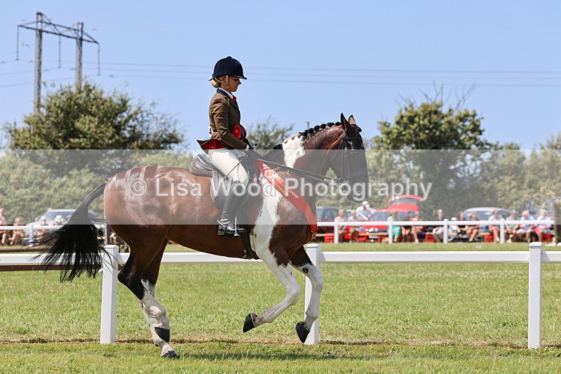 IMG_2836 - Veteran Championship