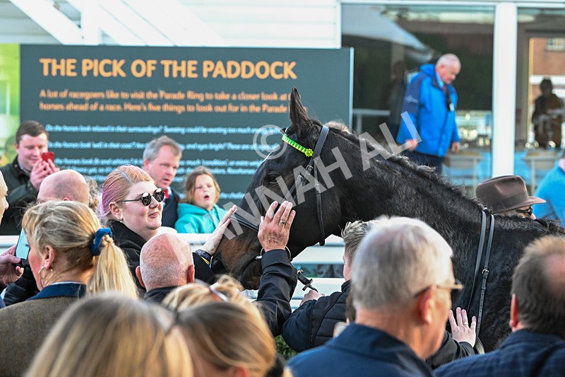 291024-Race 7-Crocodile Power-6577 - Race 7