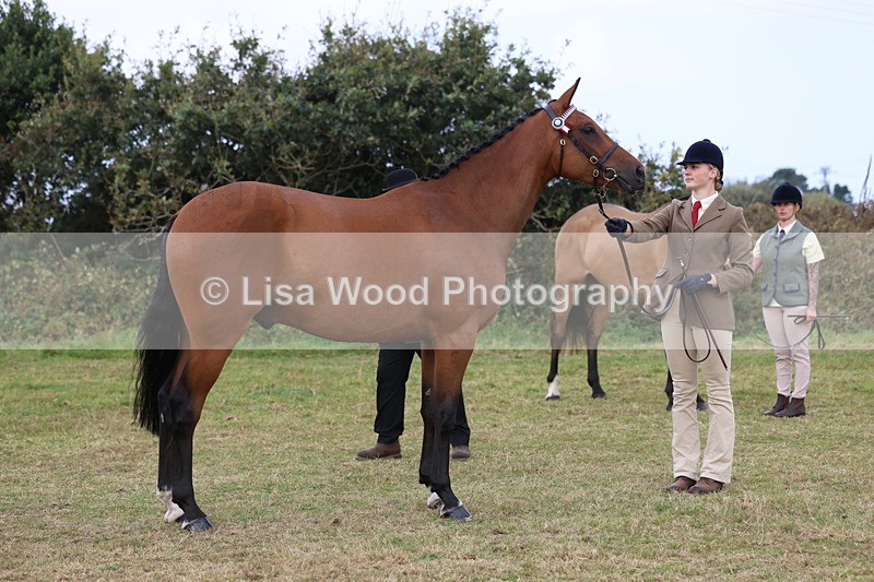 3E7A4410 - Class 15: Three Year Olds