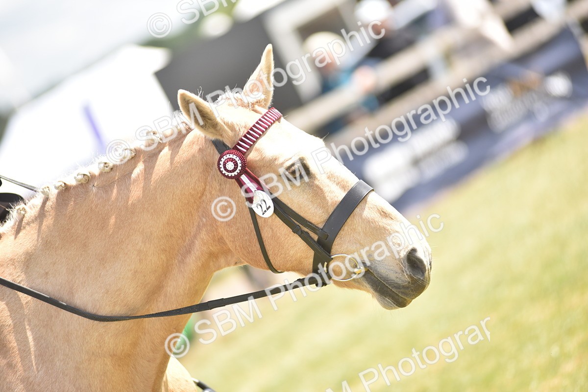 SBM_15853 - Class 115-116 - SSADL Home Produced Members Qualifier