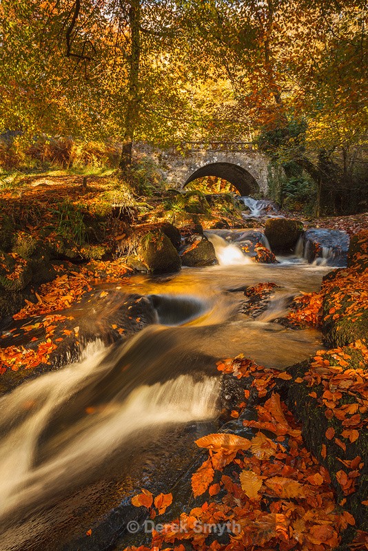 Autumn Gold By The Cloughleagh Bridge