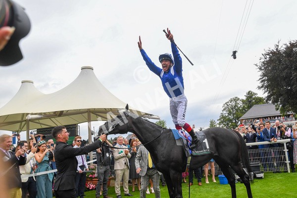 230823-Race 4-Mostahdaf-0373 - Race 4 3.35pm Juddmonte International Stakes