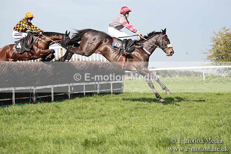 PtP 210418 506 - South & West Wilts Point-to-Point Larkhill 21/04/18