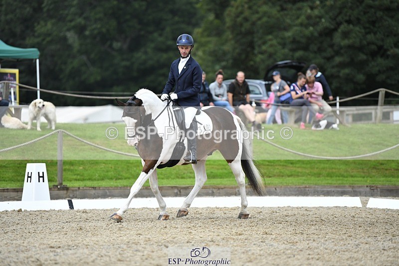 230812-123331-04149 - Cls 6 Novice Silver 12.10 to End