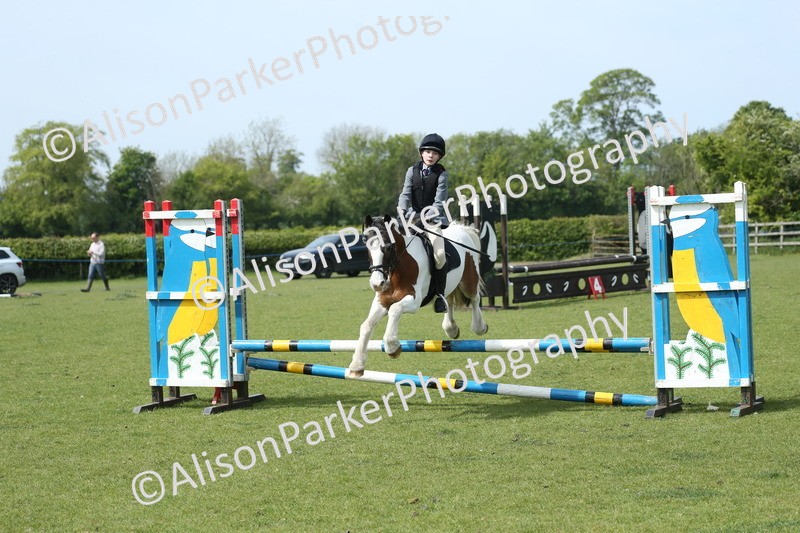20260426-1766 - Class 14 - Novice 60cm