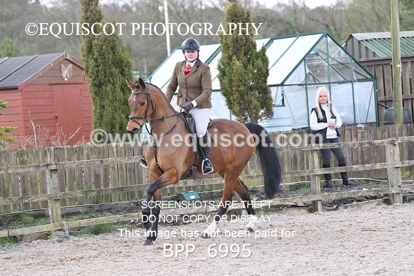 BPP_6995 - RING 1  (RIDDEN HORSES / IN HAND / VETERAN ETC)