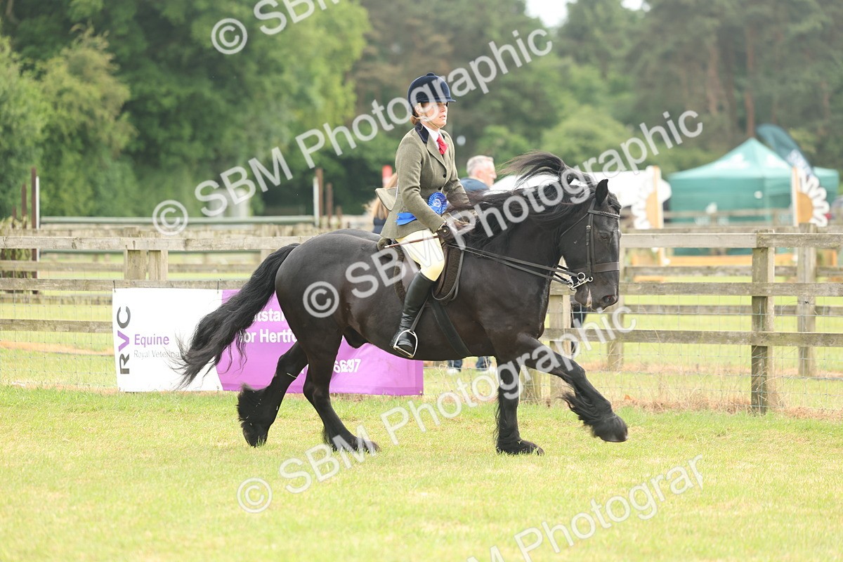 SBM_09127 - Class 78-80 - Ridden M&M Non Welsh Ponies