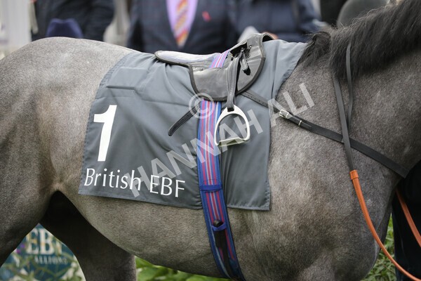 yr07102022r3-8 - Race 3 3.15pm British EBF £100,000 2yo Series Final (Colts and Geldings)