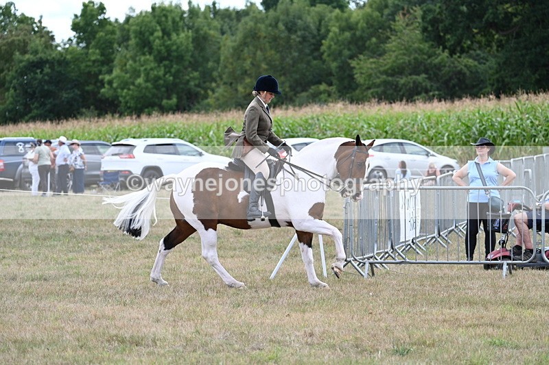 WJ7_5219 - Class 12 Ridden Cob