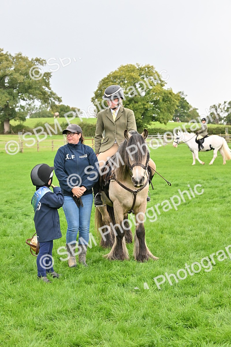 SBM_42907 - S12 - Family Horse & Pony