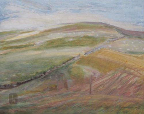 Field before Peat Law - Letter from Home