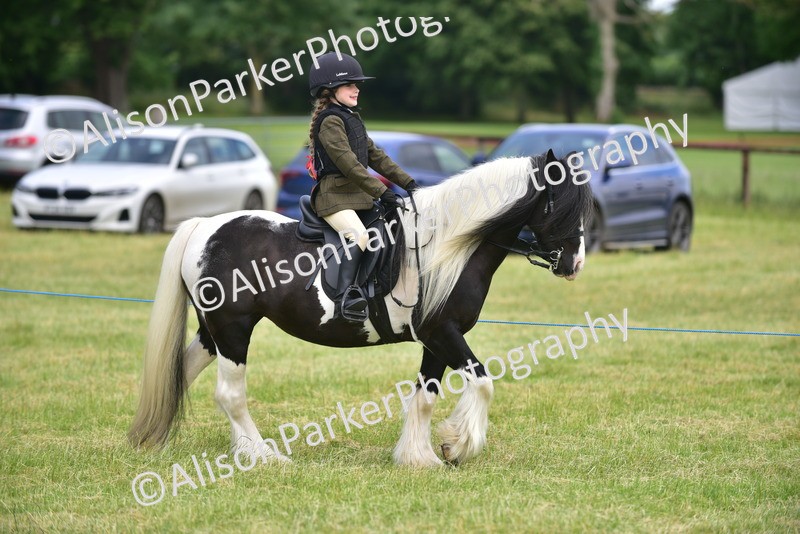 20260614-3633 - Class 15 - Prettiest Mare