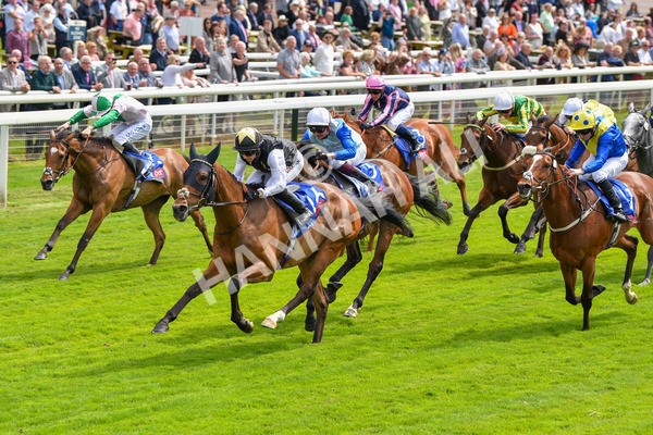 170523-Race 1-Scampi-8575 - Race 1 1.50pm Sky Bet Race To The Ebor Jorvik Handicap