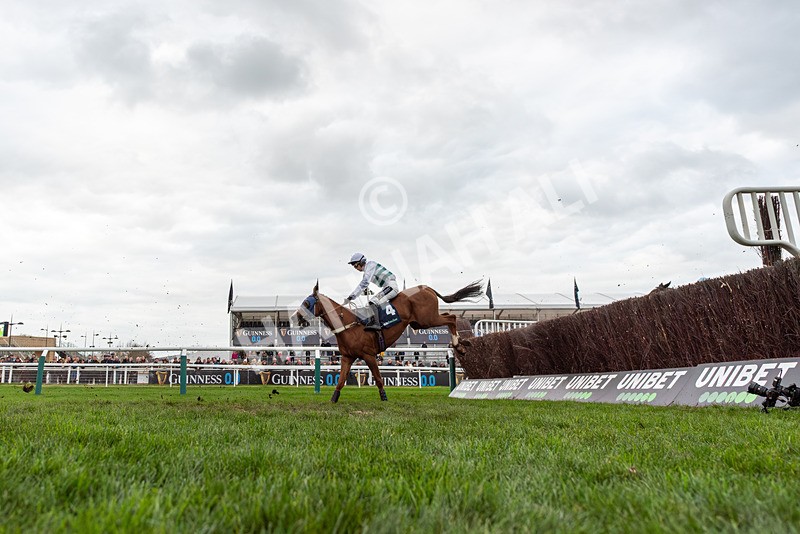 161125-Race 4-Nassalam-3052 - Race 4
