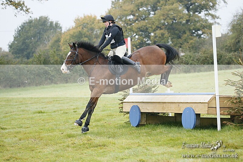 WWHT 181020 WWHT 181020 331 - WWEC Novice Restricted (0.80m) 18/10/20