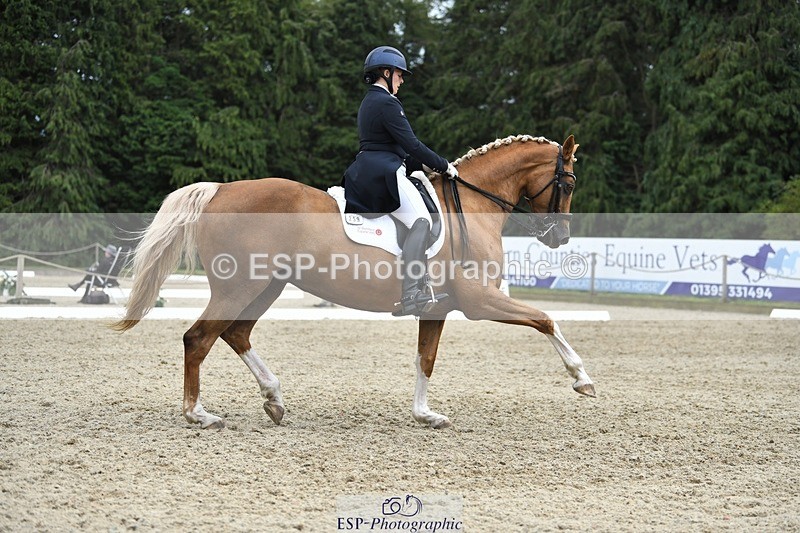 230812-143952-04761 - Cls 7 FEI PSG Bronze