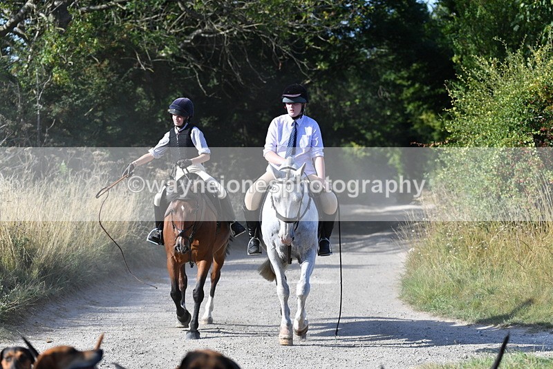 WJ5_4816 - Walk out with the hounds