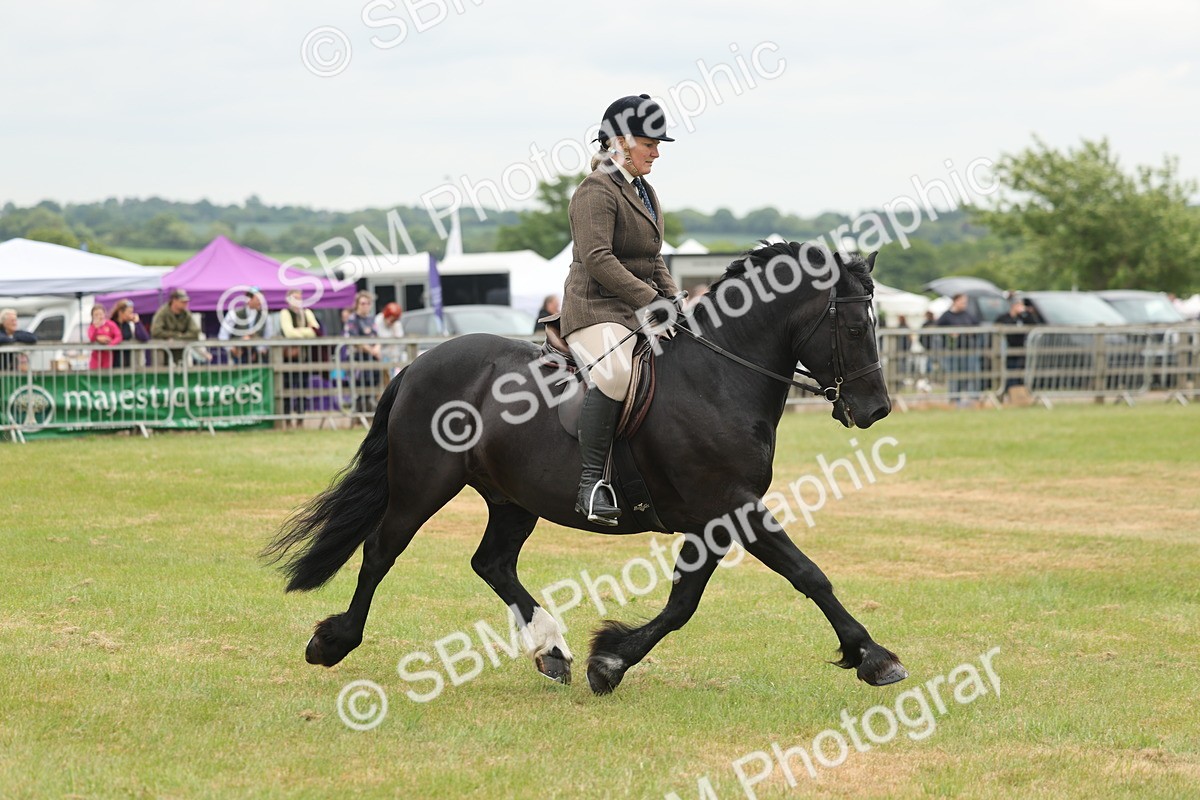 SBM_07201 - Class 76-77 - Ridden M&M Welsh Ponies