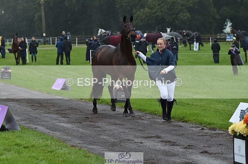 231018-120716-00087 - 009-FUTURE.GRAVITIE-Gini.Hope-TrotUp