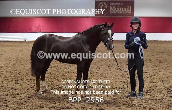 BPP_2956 - LOOSE JUMPING / SPSS