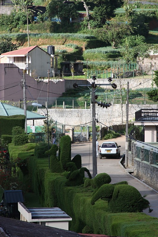  - Travel and culture