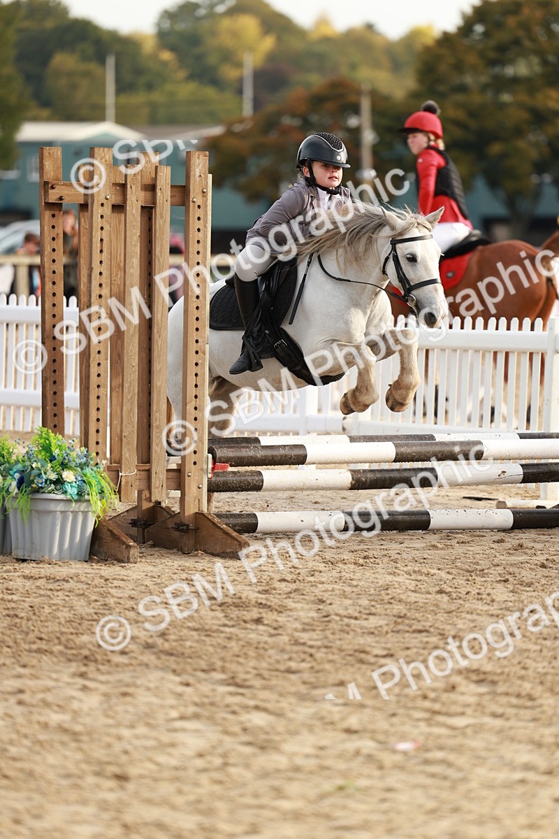 SBM_55566 - J11 - Junior Pony 50cm Championship