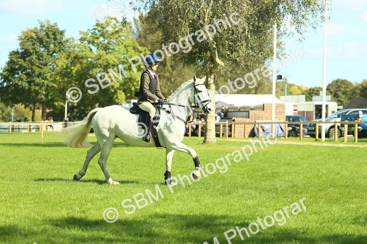 SBM_39267 - S29 - Novice & Newcomers Working Hunter Pony
