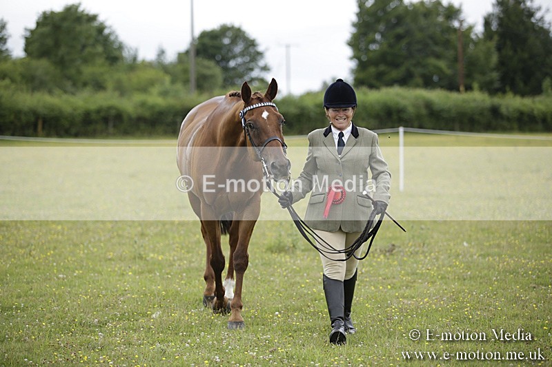 BVR160717-1088 - In Hand Championship 16/07/17