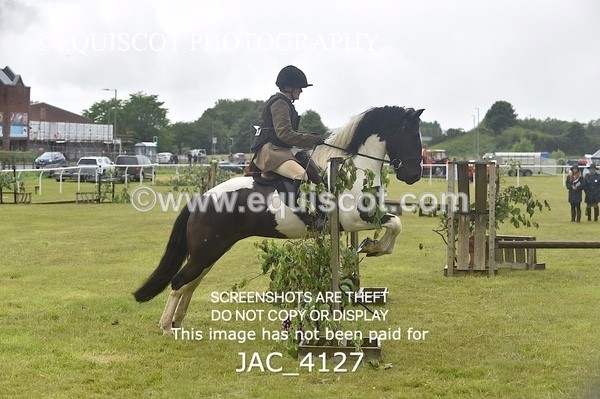 JAC_4127 - 40CM WORKING HUNTER