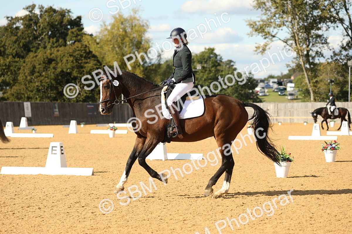SBM_26756 - D17 - Grand Tour Championship - Novice 27